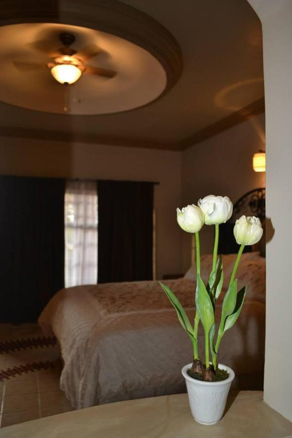 Maria Bonita Suites Agua Prieta 外观 照片